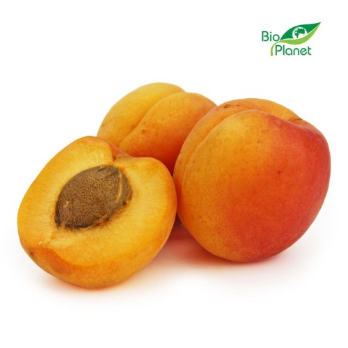 28293MORELE ŚWIEŻE BIO (około 0,50 kg)-1