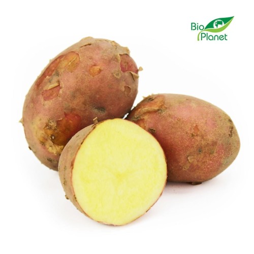 28760OPAKOWANIE ZBIORCZE (kg) - ZIEMNIAKI CZERWONE MŁODE ŚWIEŻE BIO (POLSKA) (około 10 kg)-1