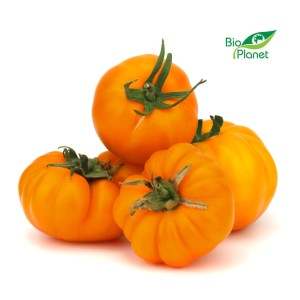 POMIDORY ŻÓŁTE ŚWIEŻE BIO (POLSKA) (około 0,50 kg)