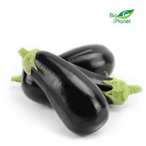 28846OPAKOWANIE ZBIORCZE (kg) - BAKŁAŻAN ŚWIEŻY BIO (POLSKA) (około 5 kg)-1