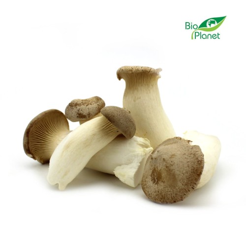 30393OPAKOWANIE ZBIORCZE (kg) - GRZYBY ERYNGII (BOROWIK STEPOWY) ŚWIEŻE BIO (POLSKA) (około 1 kg)-1