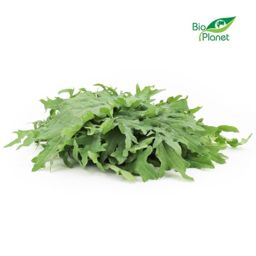 30882JARMUŻ ŚWIEŻY BIO (POLSKA) (około 0,10 kg)-1
