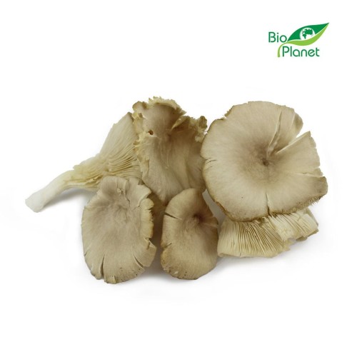 30886GRZYBY BOCZNIAKI ŚWIEŻE BIO (POLSKA) (około 0,20 kg)-1