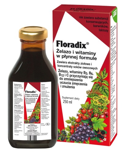 31378SUPLEMENT DIETY ŻELAZO + WITAMINY W PŁYNIE 250 ml - SALUS (FLORADIX)-1