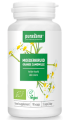 32571ZŁOCIEŃ MARUNA BIO (360 mg) 90 KAPSUŁEK - PURASANA-1