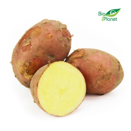 32638ZIEMNIAKI CZERWONE ŚWIEŻE BIO (POLSKA) (około 2,00 kg)-1