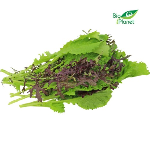 33026MUSZTARDOWIEC ŚWIEŻY BIO (POLSKA) (około 100 g)-1