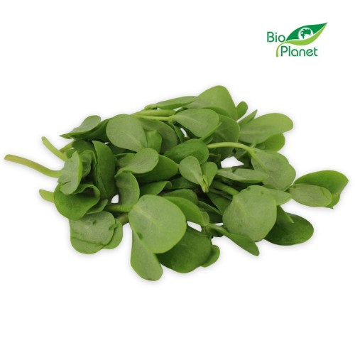 33156PORTULAKA ŚWIEŻA BIO (POLSKA) (około 100 g)-1
