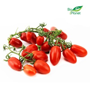 OPAKOWANIE ZBIORCZE (kg) - POMIDORY DAKTYLOWE NA GAŁĄZCE ŚWIEŻE BIO (POLSKA) (około 3 kg)