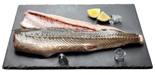 JESIOTR PŁAT (około 0,40 kg) - SMOLIN FISH (NA ZAMÓWIENIE)-1 34263 