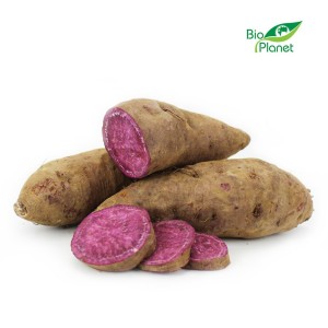 OPAKOWANIE ZBIORCZE (kg) - BATATY FIOLETOWE ŚWIEŻE BIO (około 6 kg)