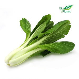 KAPUSTA PAK CHOI ŚWIEŻA BIO (POLSKA) (około 0,30 kg)