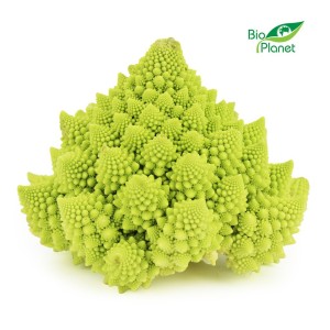 OPAKOWANIE ZBIORCZE (szt.) - KALAFIOR ROMANESCO ŚWIEŻY BIO (POLSKA) (około 8 szt.)