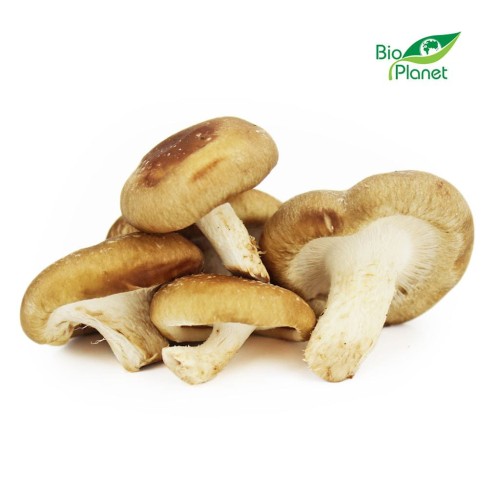 16220GRZYBY SHIITAKE ŚWIEŻE BIO (POLSKA) (około 0,20 kg)-1