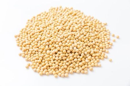 16280SOJA BIO (SUROWIEC) (25 kg) 7-1