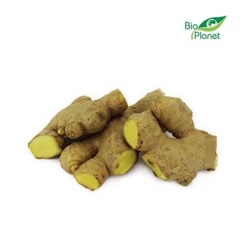 16644IMBIR ŚWIEŻY BIO (około 0,20 kg)-1