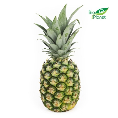 16656ANANAS ŚWIEŻY BIO (około 0,80 kg)-1