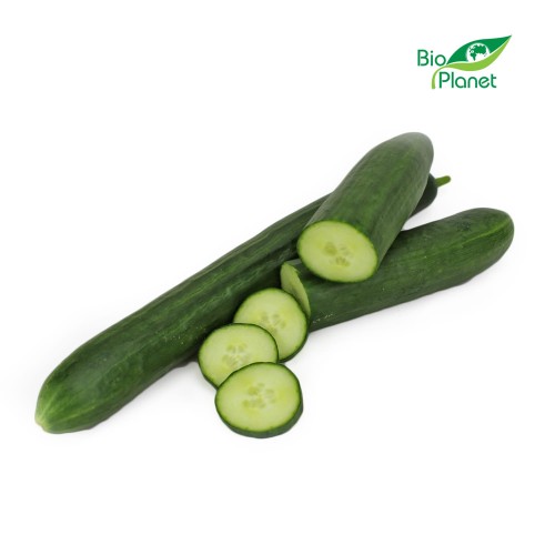 16657OPAKOWANIE ZBIORCZE (szt) - OGÓREK DŁUGI ŚWIEŻY BIO (około 6 sztuk)-1