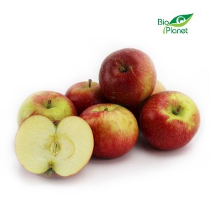 OPAKOWANIE ZBIORCZE (kg) - JABŁKA ŚWIEŻE BIO (BATOR-POLSKA) (około 13 kg)