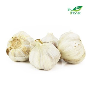 CZOSNEK ŚWIEŻY BIO (POLSKA) (około 125 g) wzmacnia odporność i pomaga w walce z przeziębieniem oraz grypą
