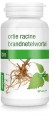 17912POKRZYWA KORZEŃ BIO 120 KAPSUŁEK (210 mg) - PURASANA-1