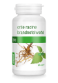 17912POKRZYWA KORZEŃ BIO 120 KAPSUŁEK (210 mg) - PURASANA-2