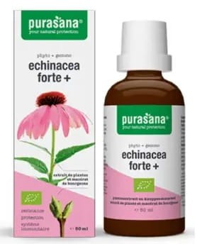 18119ECHINACEA FORTE (JEŻÓWKA PURPUROWA) KROPLE BIO 50 ml - PURASANA-1
