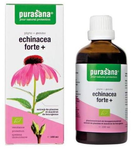 18120ECHINACEA FORTE (JEŻÓWKA PURPUROWA) KROPLE BIO 100 ml - PURASANA-1