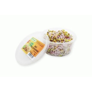 KIEŁKI RZODKIEWKI ŚWIEŻE BIO (całe opak. 50 g) bogate w wit.C i wit. zgrupy B